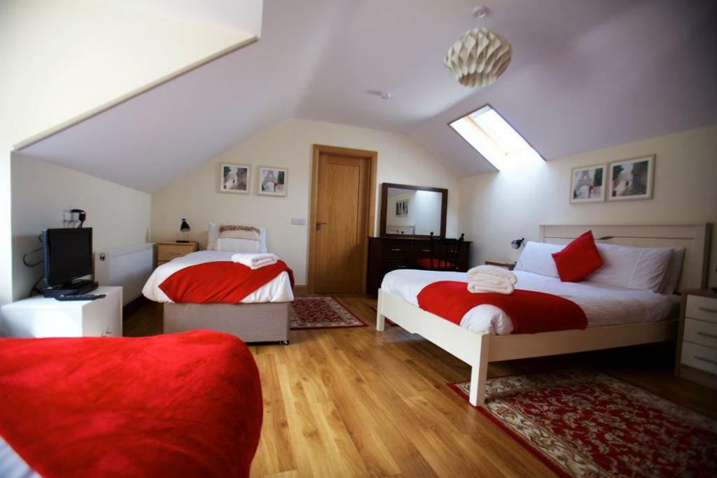 קורק Woodview House Bed And Breakfast מראה חיצוני תמונה